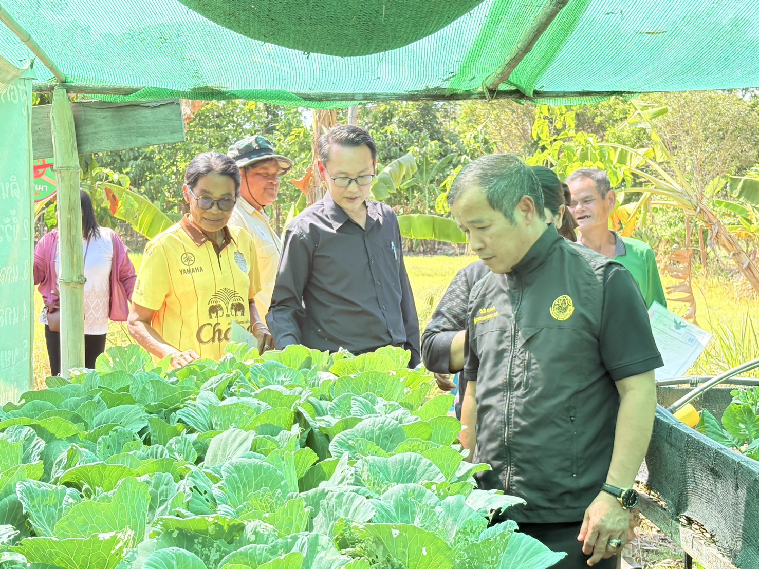 title - วันที่ 10 กุมภาพันธ์ 2569 นายประเสริฐ กาญจนเกียรติกุล ปฏิรูปที่ดินจังหวัดบุรีรัมย์ พร้อมด้วยเจ้าหน้าที่ ส.ป.ก.บุรีรัมย์ ให้การต้อนรับผู้ตรวจราชการ ส.ป.ก. นายวินัย เมฆดำ และรายงานผลการปฏิบัติงานพร้อมทั้งจัดกิจกรรมมอบโฉนดเพื่อการเกษตรในการลงพื้นที่ตรวจติดตามผลการปฏิบัติราชการตามแผนการตรวจราชการ รอบที่ 1 ณ แปลงต้นแบบเกษตรกรรมยั่งยืนในเขตปฏิรูปที่ดิน นางสามัญ โล่ห์ทอง ตำบลหนองโบสถ์ อำเภอนางรอง จังหวัดบุรีรัมย์